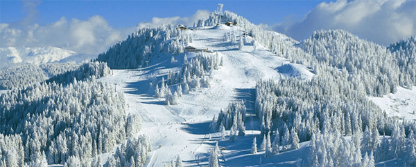 Schneesicheres Skigebiet für Ihren Winterurlaub in Österreich: Ski amadé Salzburg